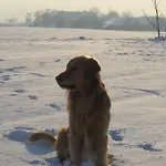 招待所 玛丽加斯特霍夫酒店